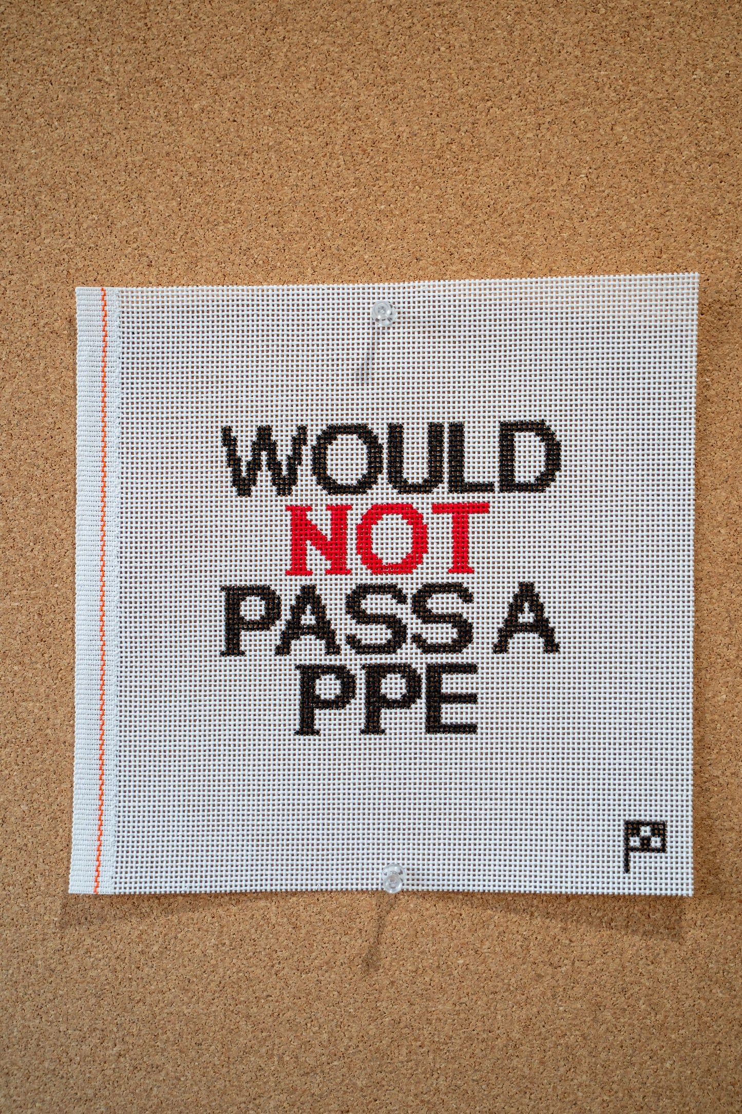Would Not Pass A PPE Handpainted Needlepoint Canvas